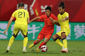 与老将结合